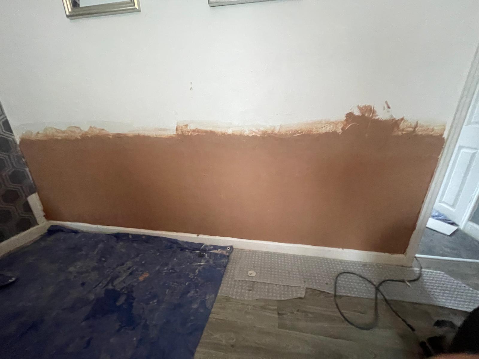 Wall tie replacement